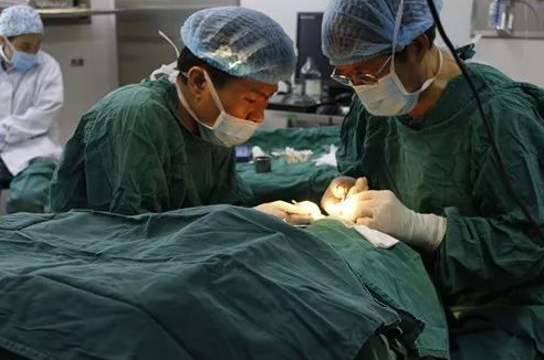 成都6686体育(中国)官方网站 - 登录入口 为不慎铁屑飞入眼内的患者小黄手术，成都商报同时也对此进行了详细报道。成都6686体育(中国)官方网站 - 登录入口院长罗清礼教授告诉成都商报客户端记者，磁铁取金属异物在医疗手术中较为常见，但细分到眼科领域较为罕见。3.png