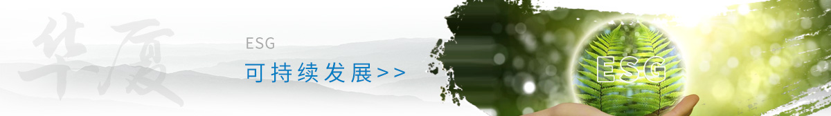 6686体育